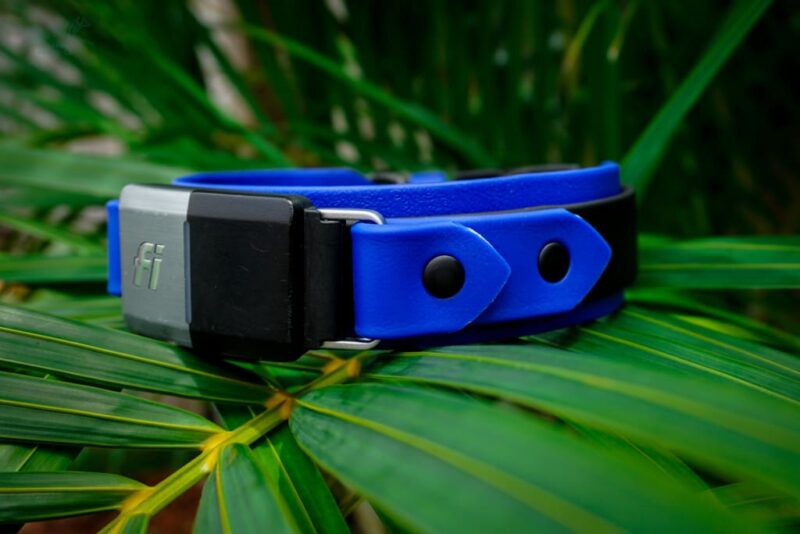Fi Compatible 1.5" Layered Buckle Collar - Image 4