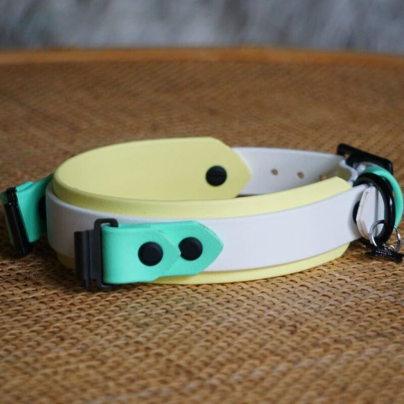 Fi Compatible 1.5" Layered Buckle Collar - Image 10