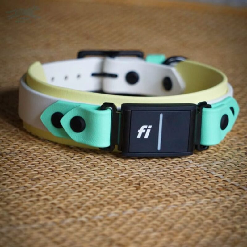 Fi Compatible 1.5" Layered Buckle Collar - Image 2