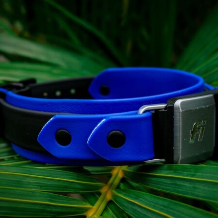 Fi Compatible 1.5" Layered Buckle Collar