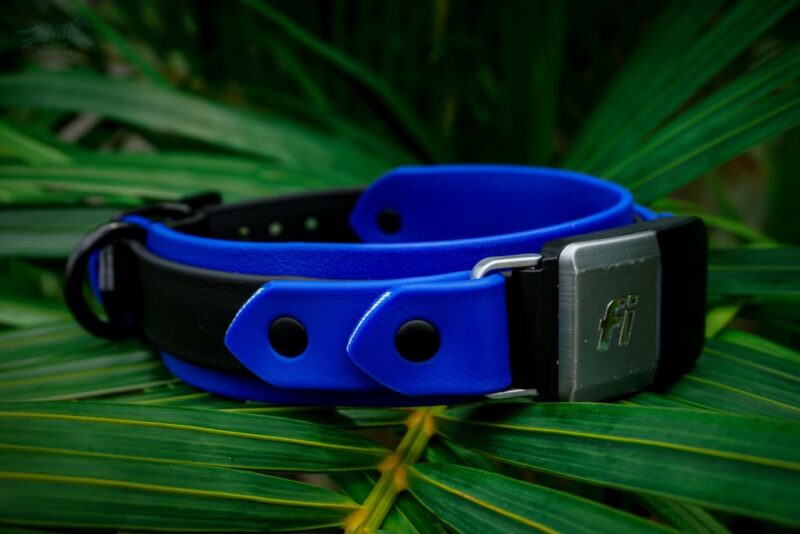 Fi Compatible 1.5" Layered Buckle Collar