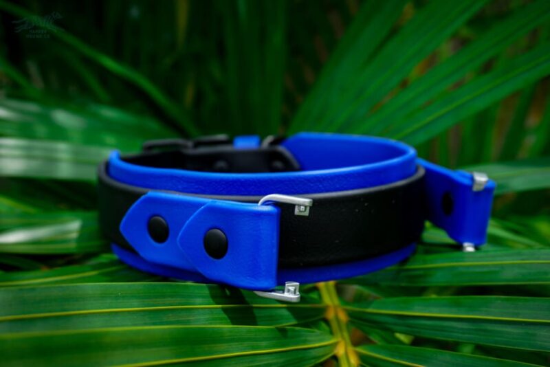Fi Compatible 1.5" Layered Buckle Collar - Image 6