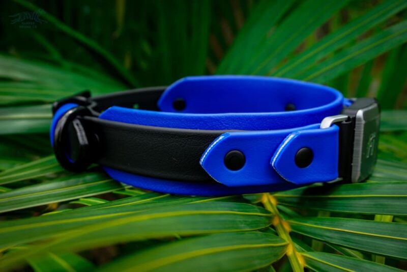 Fi Compatible 1.5" Layered Buckle Collar - Image 5
