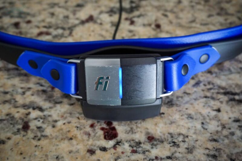 Fi Compatible 1.5" Layered Buckle Collar - Image 12