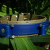 Fi Compatible 1.5" ORION Studded Buckle Collar - Image 3