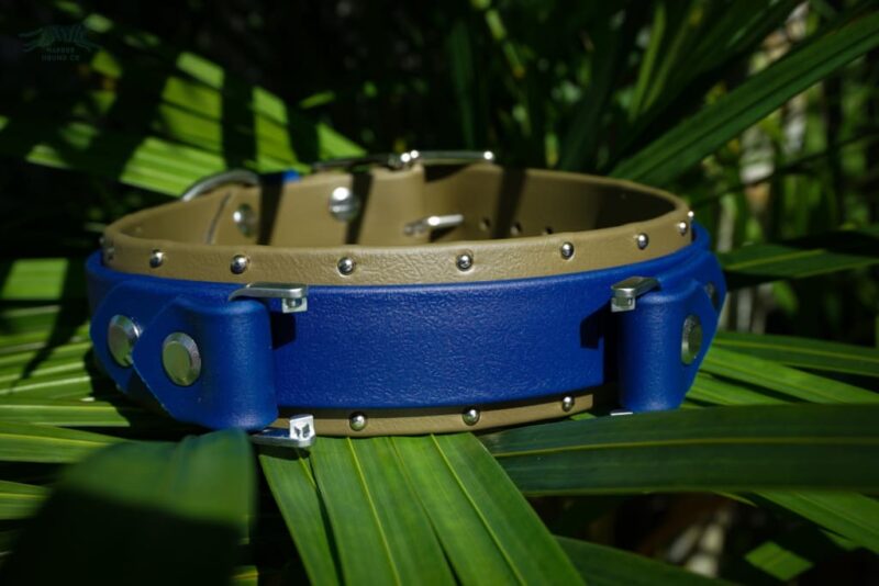Fi Compatible 1.5" ORION Studded Buckle Collar - Image 3
