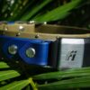 Fi Compatible 1.5" ORION Studded Buckle Collar - Image 6