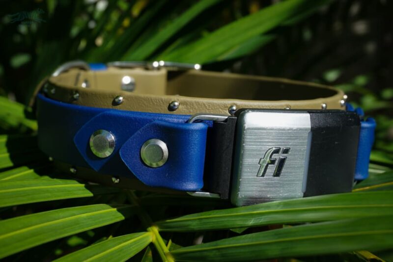 Fi Compatible 1.5" ORION Studded Buckle Collar - Image 6