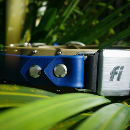 Fi Compatible 1.5" ORION Studded Buckle Collar