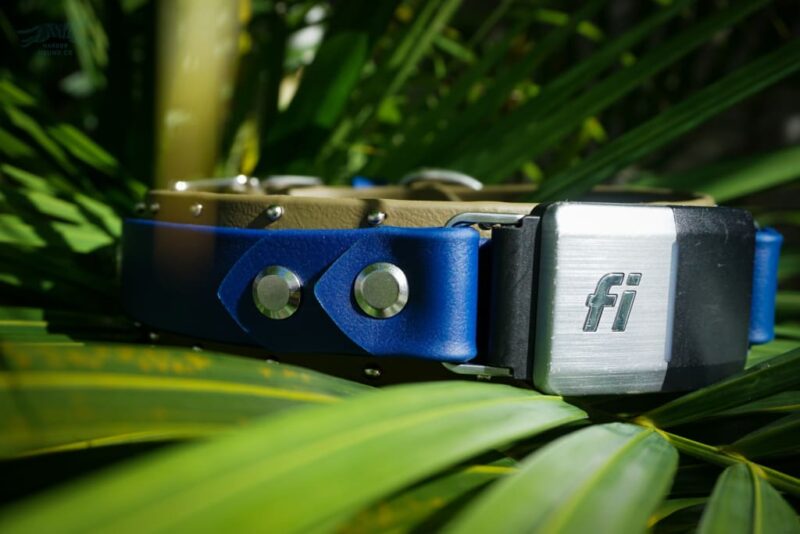Fi Compatible 1.5" ORION Studded Buckle Collar