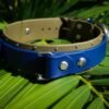 Fi Compatible 1.5" ORION Studded Buckle Collar - Image 2