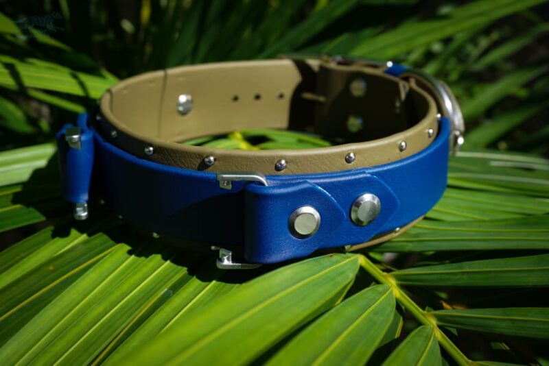 Fi Compatible 1.5" ORION Studded Buckle Collar - Image 2
