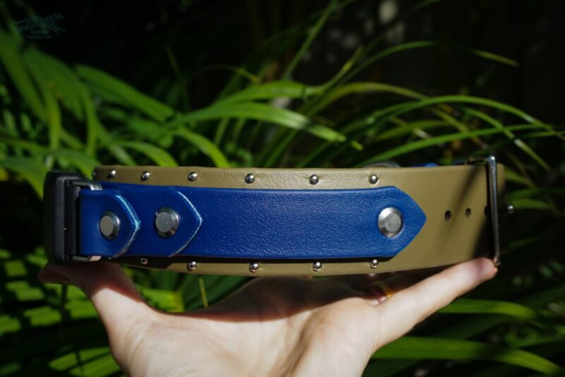 Fi Compatible 1.5" ORION Studded Buckle Collar - Image 5