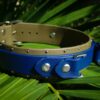 Fi Compatible 1.5" ORION Studded Buckle Collar - Image 4