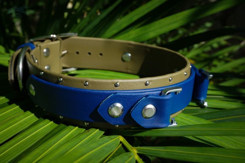 Fi Compatible 1.5" ORION Studded Buckle Collar - Image 4