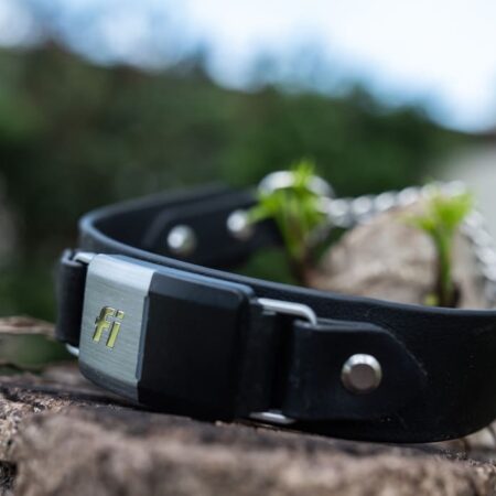 Fi Compatible 1.5" Rua Martingale Collar