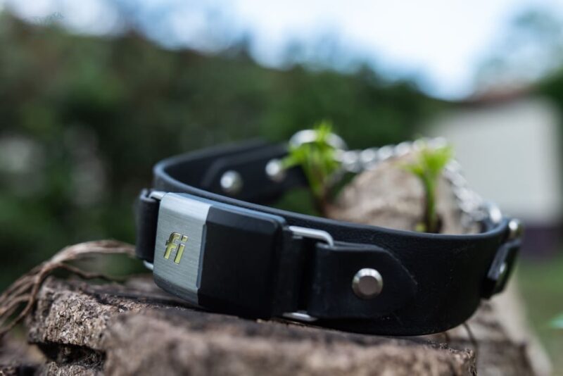 Fi Compatible 1.5" Rua Martingale Collar