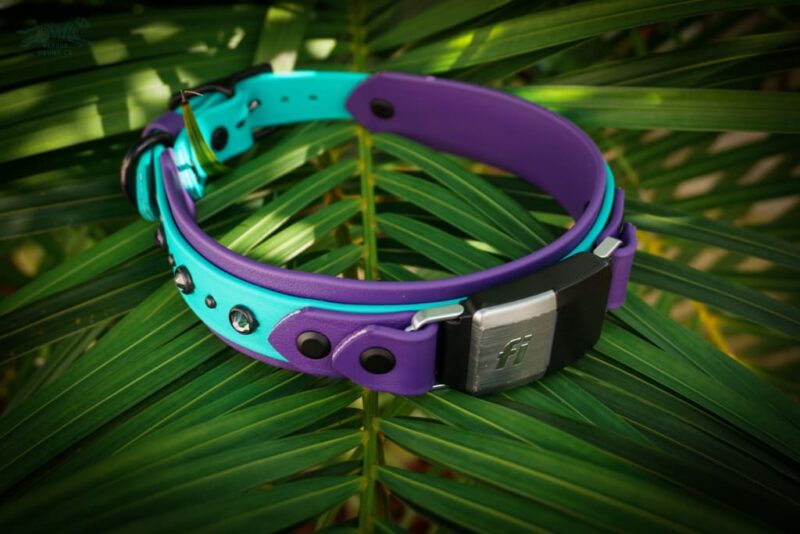 Fi Compatible 1.5" TOFINO Studded Buckle Collar - Image 7