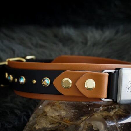 Fi Compatible 1.5" TOFINO Studded Buckle Collar