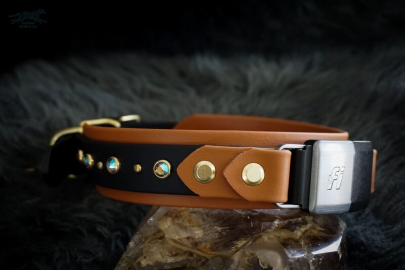 Fi Compatible 1.5" TOFINO Studded Buckle Collar
