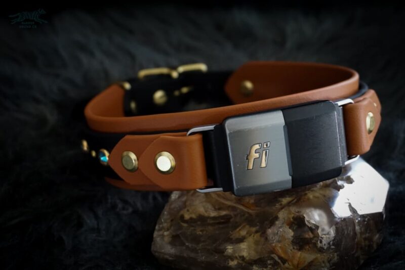 Fi Compatible 1.5" TOFINO Studded Buckle Collar - Image 5