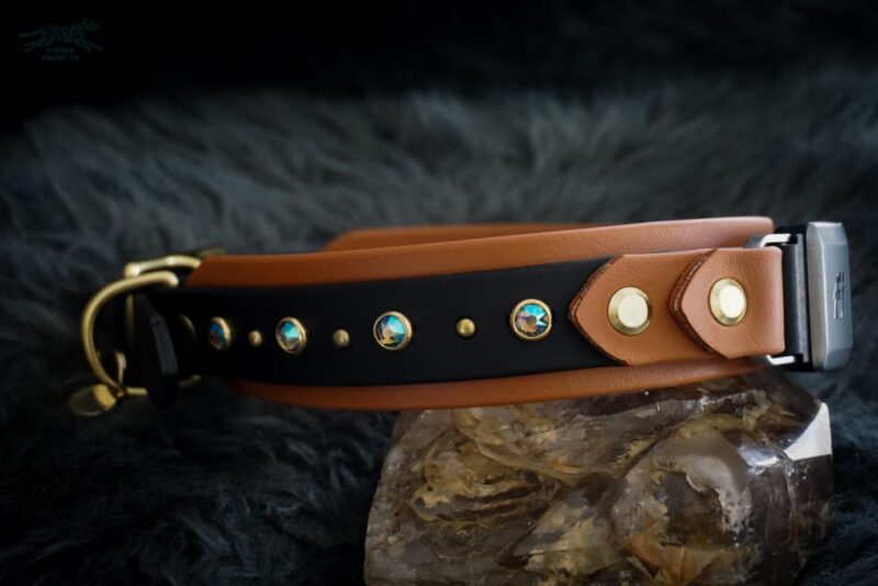 Fi Compatible 1.5" TOFINO Studded Buckle Collar - Image 2