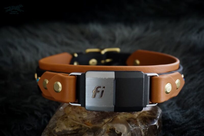 Fi Compatible 1.5" TOFINO Studded Buckle Collar - Image 3