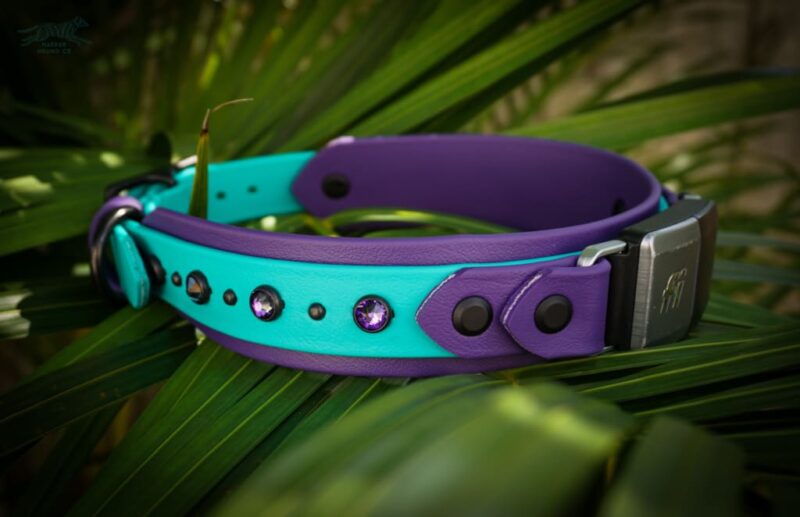 Fi Compatible 1.5" TOFINO Studded Buckle Collar - Image 6