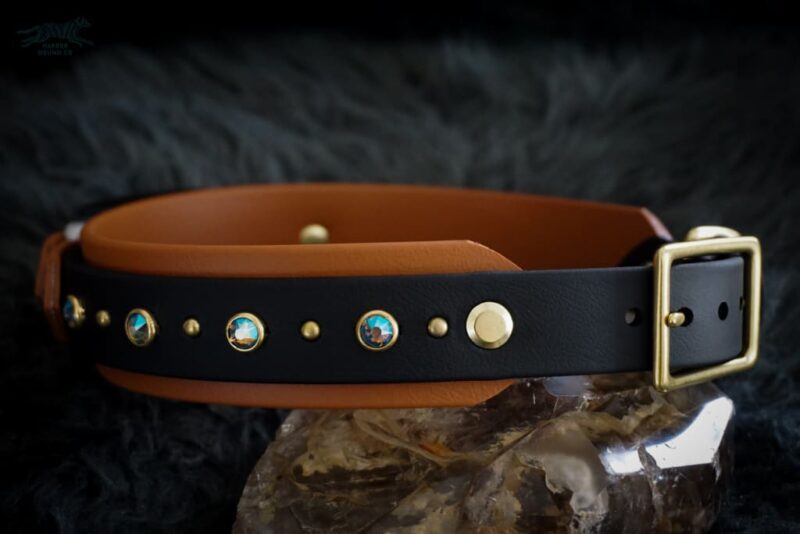 Fi Compatible 1.5" TOFINO Studded Buckle Collar - Image 4