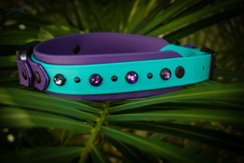 Fi Compatible 1.5" TOFINO Studded Buckle Collar - Image 8