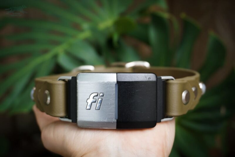 Fi Compatible 1" GAIA Gemstone Buckle Collar - Image 5