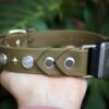 Fi Compatible 1" GAIA Gemstone Buckle Collar - Image 2