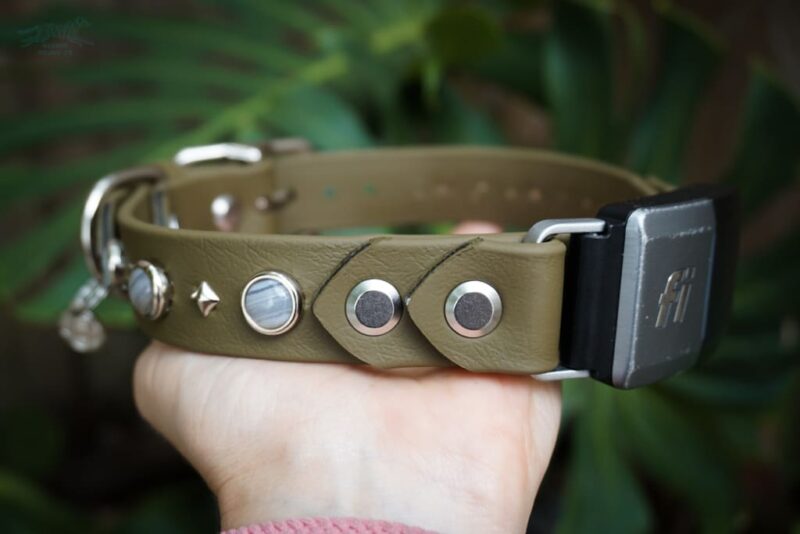 Fi Compatible 1" GAIA Gemstone Buckle Collar - Image 2