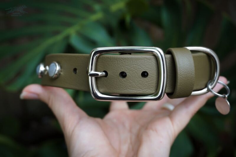 Fi Compatible 1" GAIA Gemstone Buckle Collar - Image 4