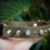 Fi Compatible 1" GAIA Gemstone Buckle Collar