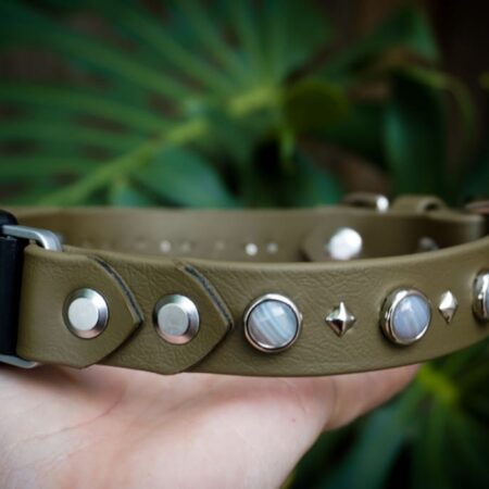 Fi Compatible 1" GAIA Gemstone Buckle Collar
