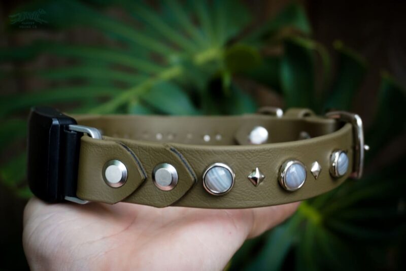 Fi Compatible 1" GAIA Gemstone Buckle Collar
