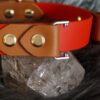 Fi Compatible 1" Rua Martingale Collar - Image 6