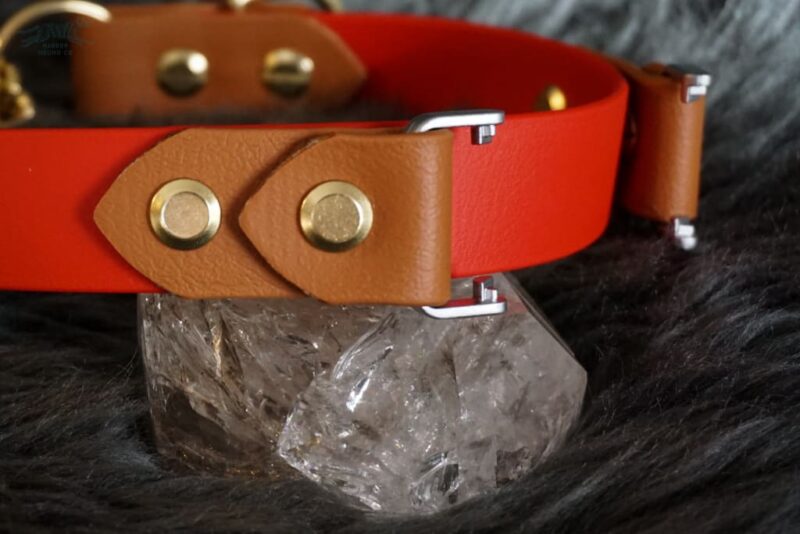 Fi Compatible 1" Rua Martingale Collar - Image 6