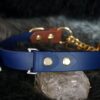 Fi Compatible 1" Rua Martingale Collar - Image 12