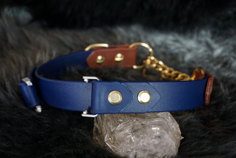 Fi Compatible 1" Rua Martingale Collar - Image 12