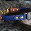 Fi Compatible 1" Rua Martingale Collar - Image 11