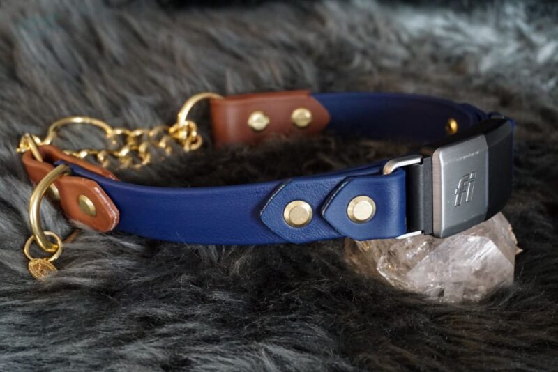 Fi Compatible 1" Rua Martingale Collar - Image 11