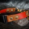 Fi Compatible 1" Rua Martingale Collar - Image 5