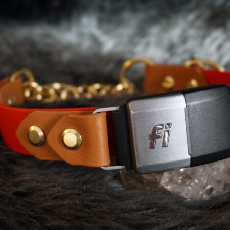 Fi Compatible 1" Rua Martingale Collar
