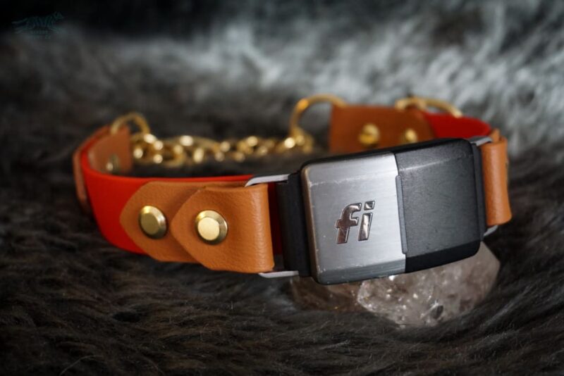 Fi Compatible 1" Rua Martingale Collar