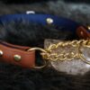 Fi Compatible 1" Rua Martingale Collar - Image 13