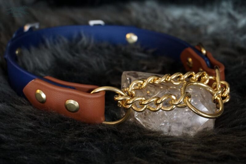 Fi Compatible 1" Rua Martingale Collar - Image 13