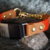 Fi Compatible 1" Rua Martingale Collar - Image 4