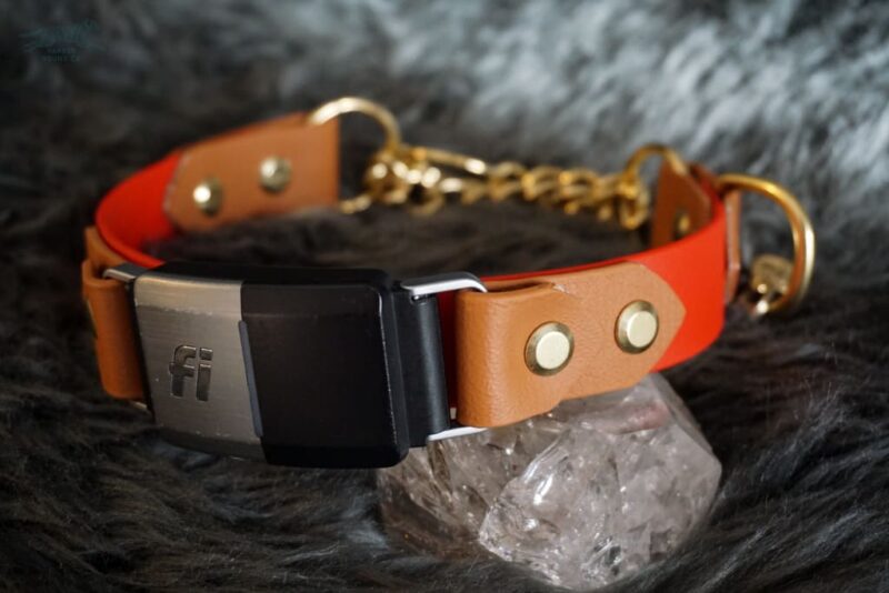 Fi Compatible 1" Rua Martingale Collar - Image 4